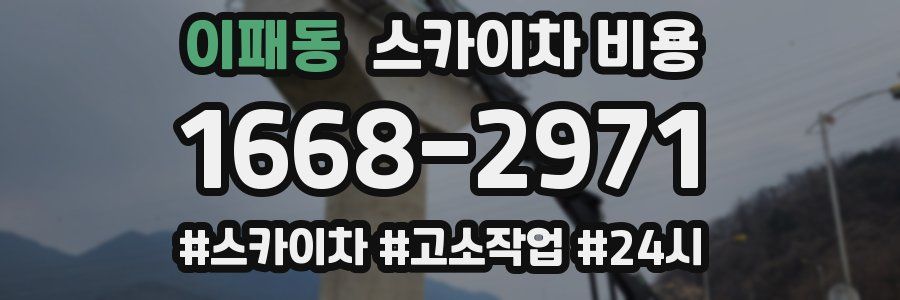 이패동 스카이차 비용