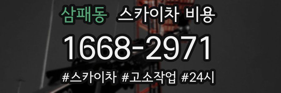 삼패동 스카이차 비용