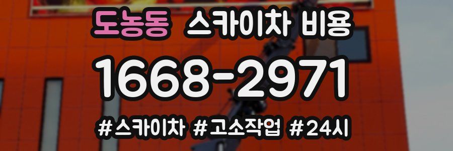 도농동 스카이차 비용