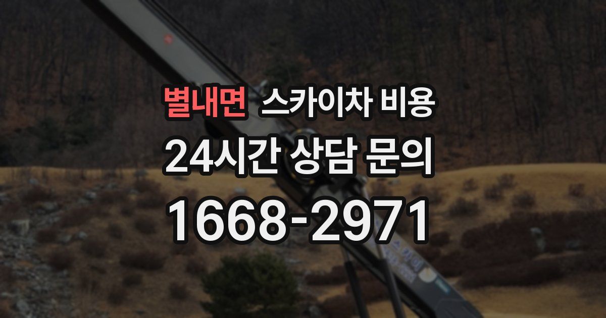 별내면 스카이차 비용