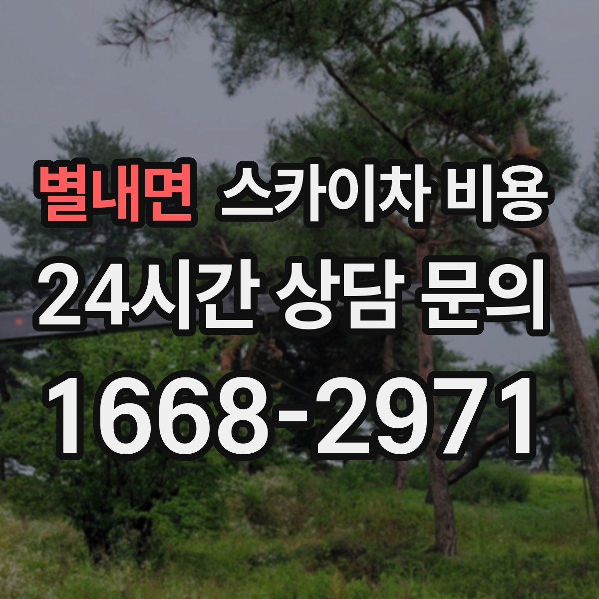 별내면 스카이차 비용