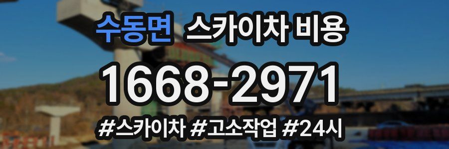 수동면 스카이차 비용