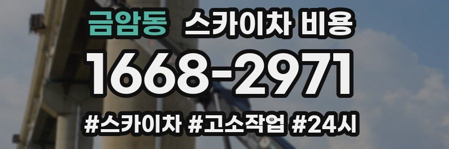 금암동 스카이차 비용