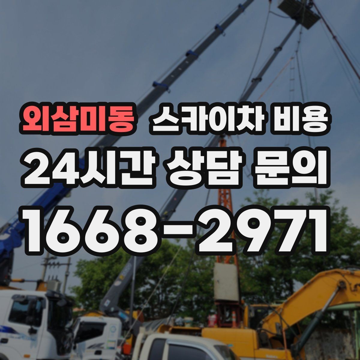 외삼미동 스카이차 비용 수목 전정은 무엇을 기준으로 견적이 나올까