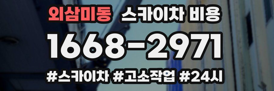 외삼미동 스카이차 비용