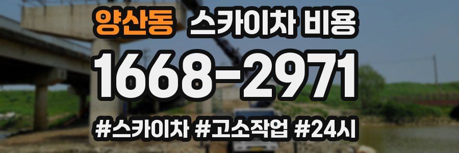 양산동 스카이차 비용