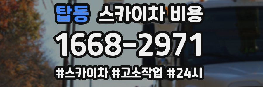 탑동 스카이차 비용