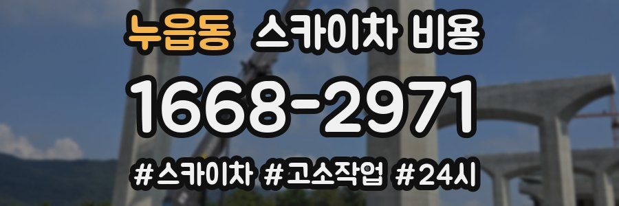 누읍동 스카이차 비용