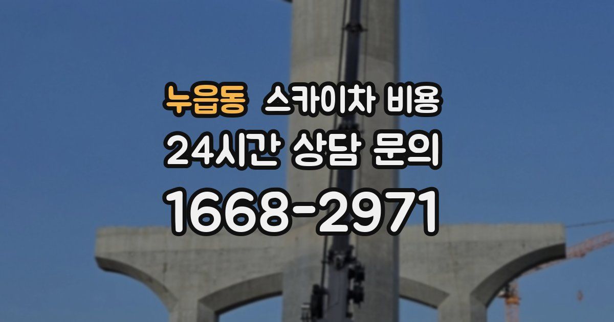 누읍동 스카이차 비용