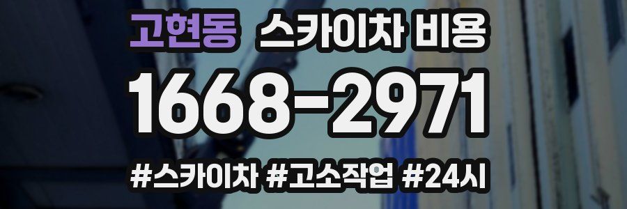 고현동 스카이차 비용