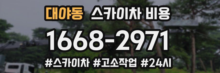 대야동 스카이차 비용