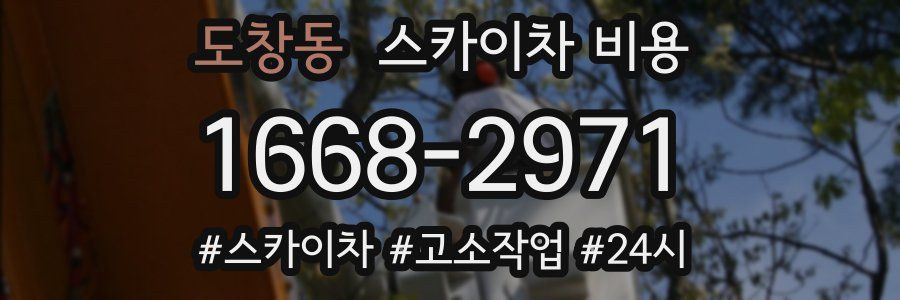 도창동 스카이차 비용