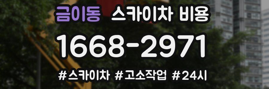 금이동 스카이차 비용