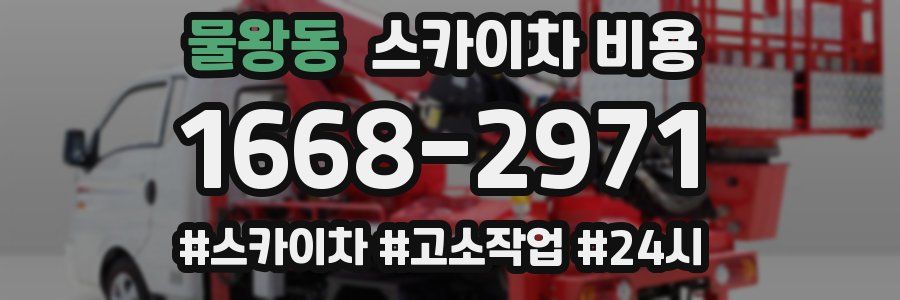 물왕동 스카이차 비용