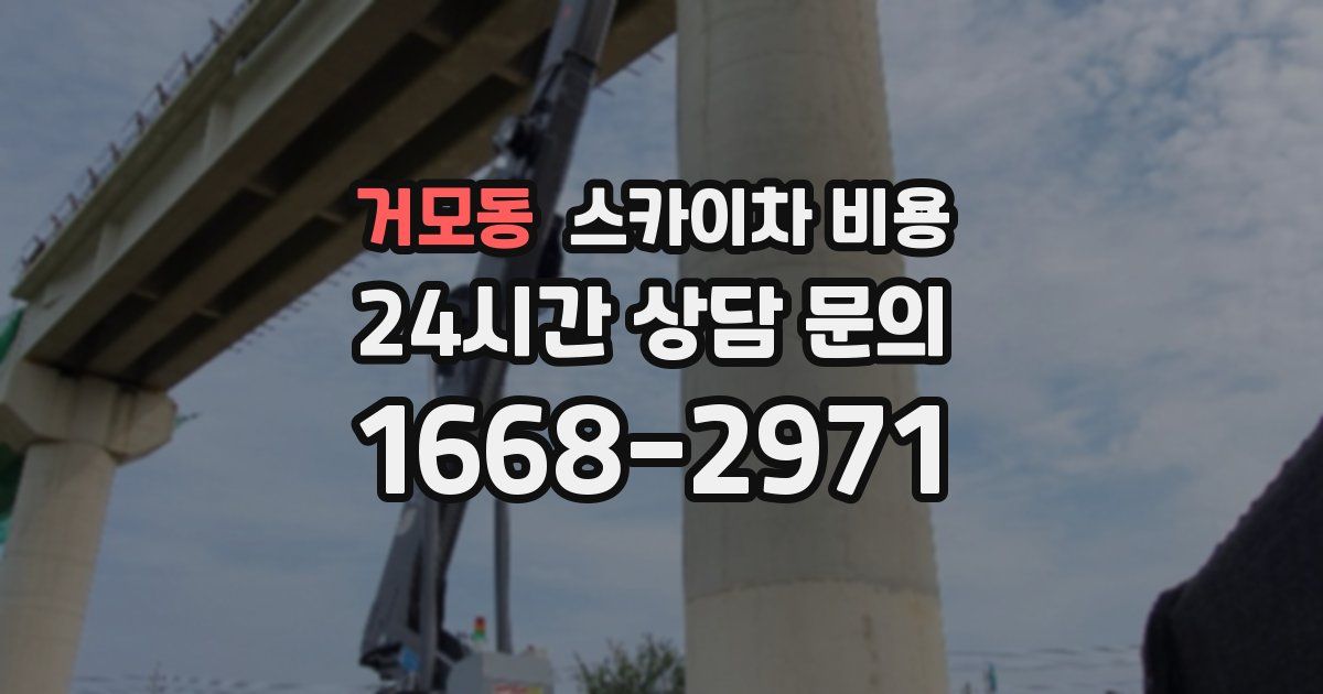 거모동 스카이차 비용