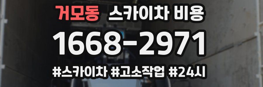 거모동 스카이차 비용