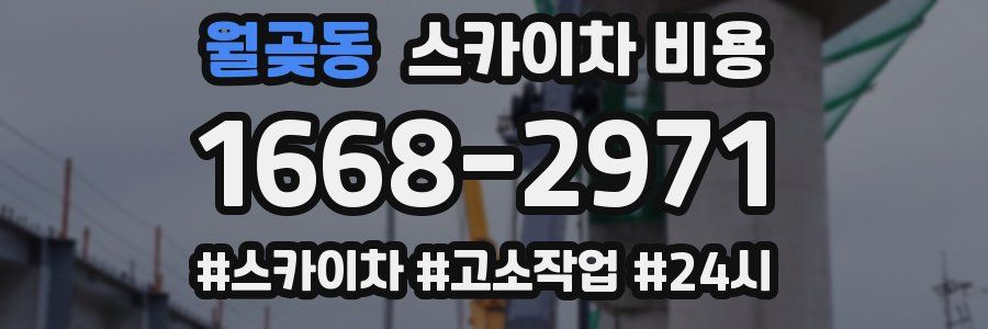 월곶동 스카이차 비용