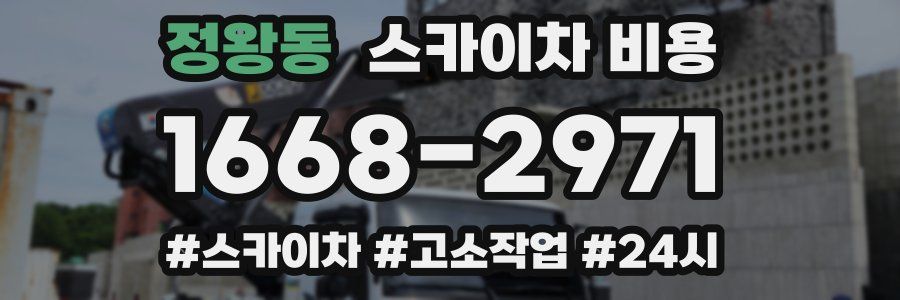 정왕동 스카이차 비용