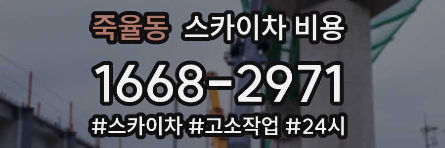죽율동 스카이차 비용