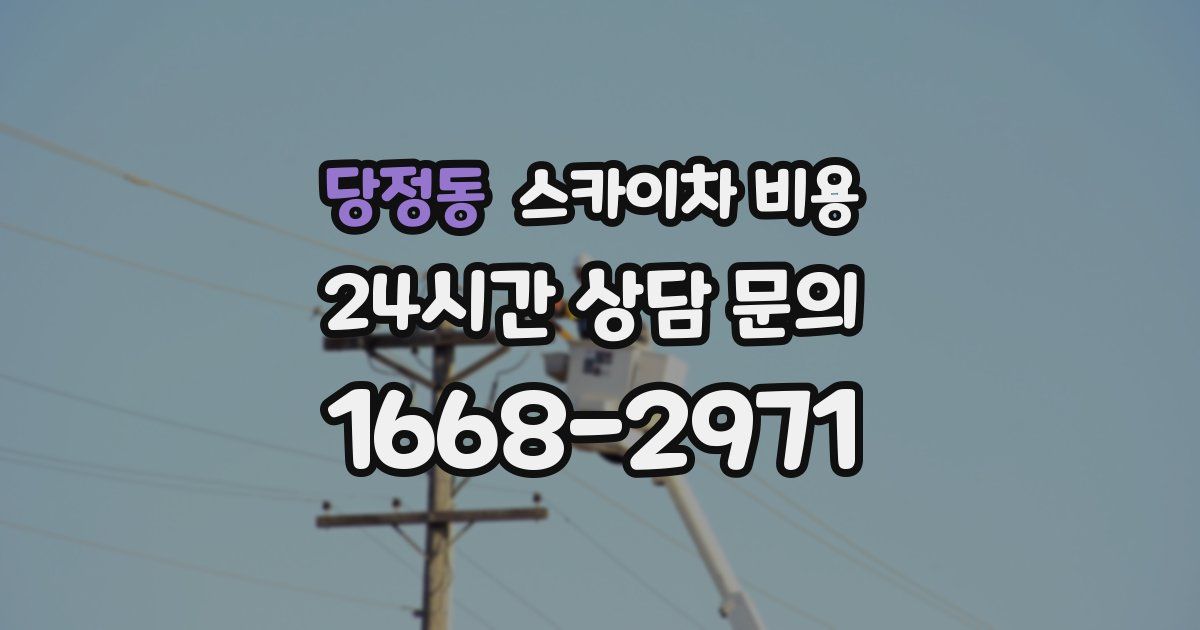 당정동 스카이차 비용