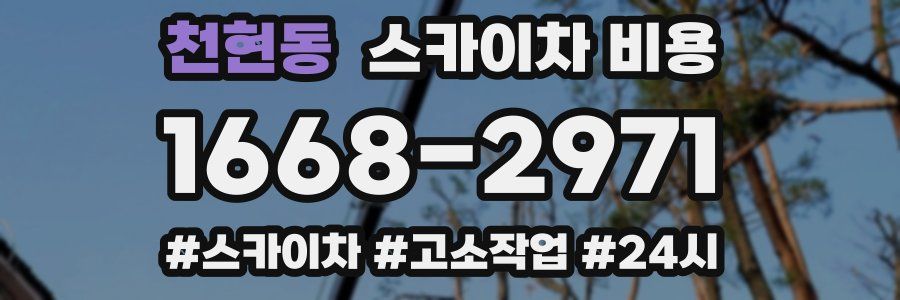 천현동 스카이차 비용