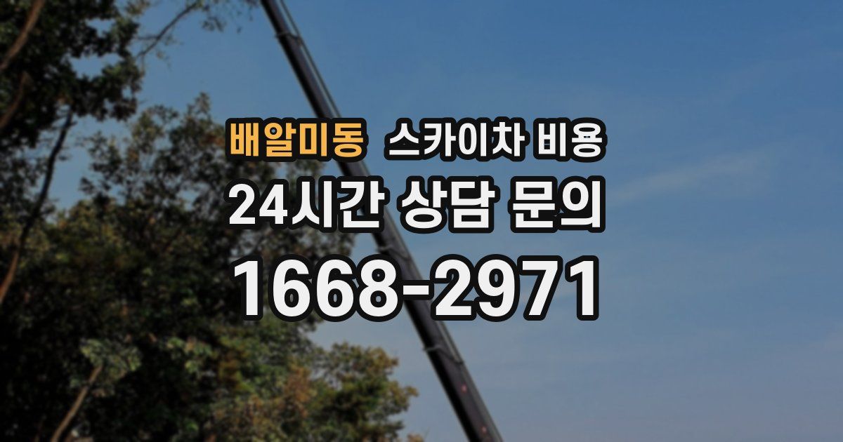 배알미동 스카이차 비용