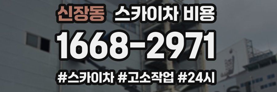 신장동 스카이차 비용