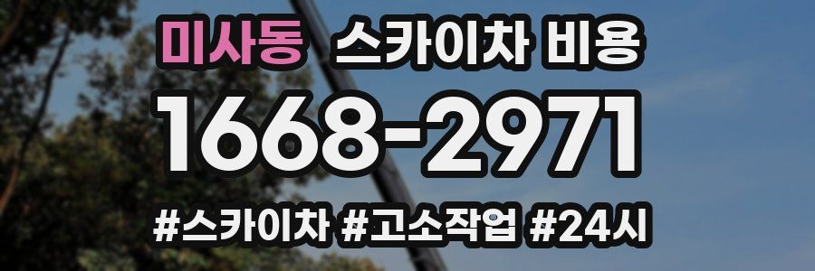 미사동 스카이차 비용