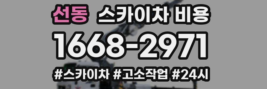 선동 스카이차 비용