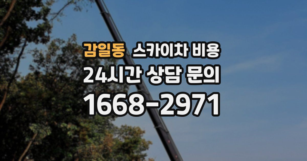 감일동 스카이차 비용