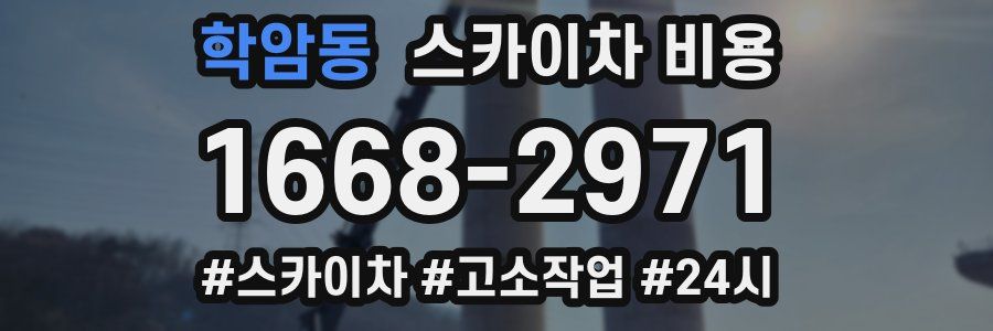 학암동 스카이차 비용