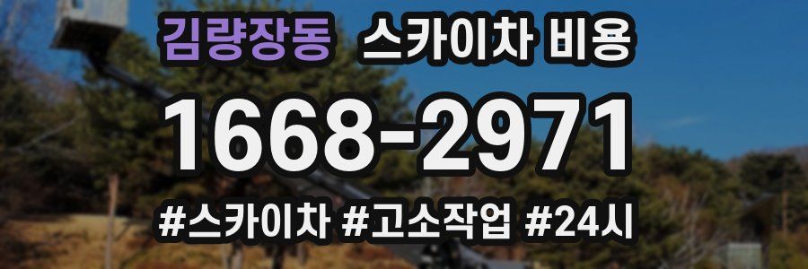 김량장동 스카이차 비용