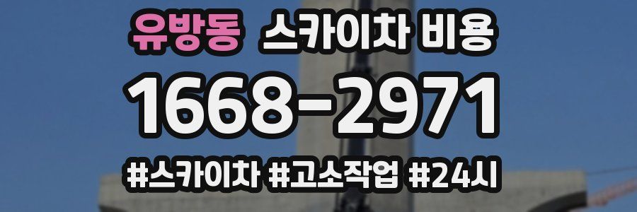 유방동 스카이차 비용