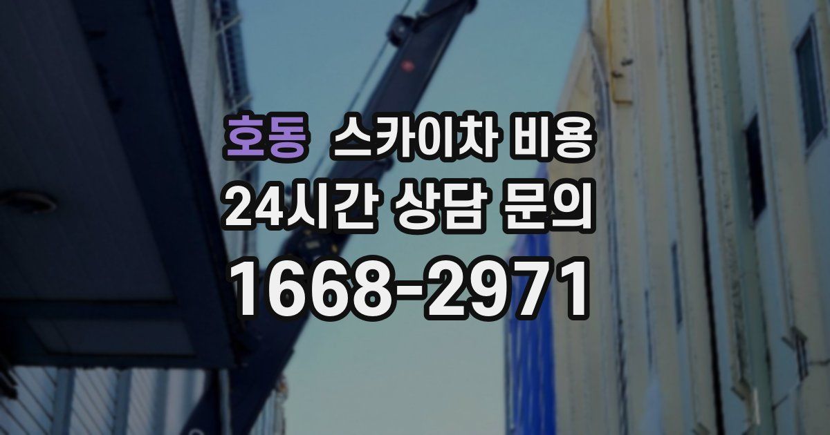 호동 스카이차 비용