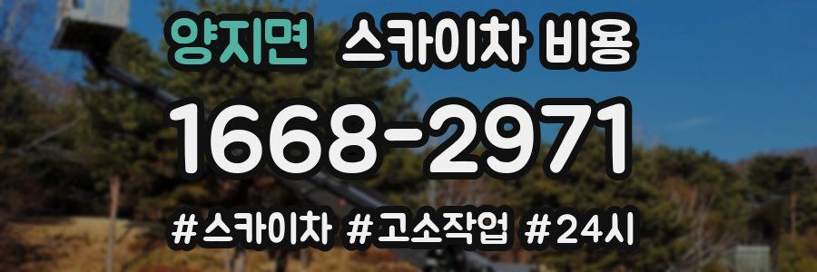 양지면 스카이차 비용