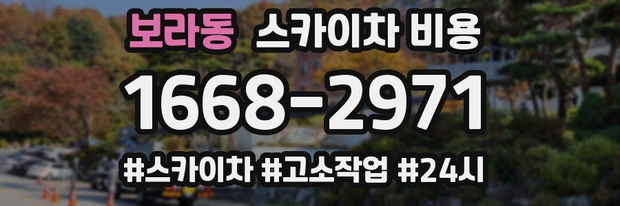 보라동 스카이차 비용