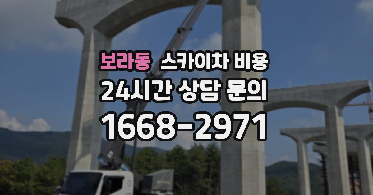 보라동 스카이차 비용
