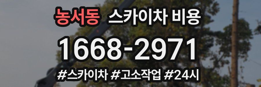 농서동 스카이차 비용