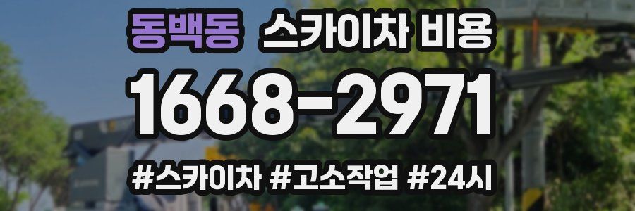 동백동 스카이차 비용