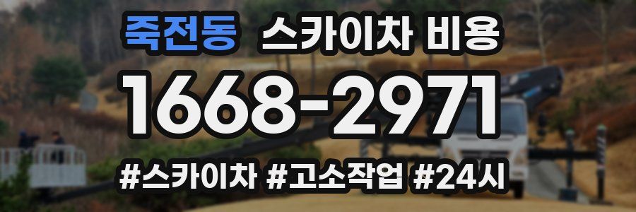 죽전동 스카이차 비용