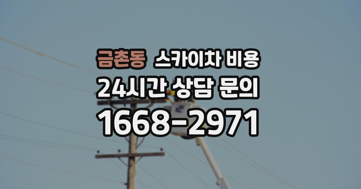 금촌동 스카이차 비용