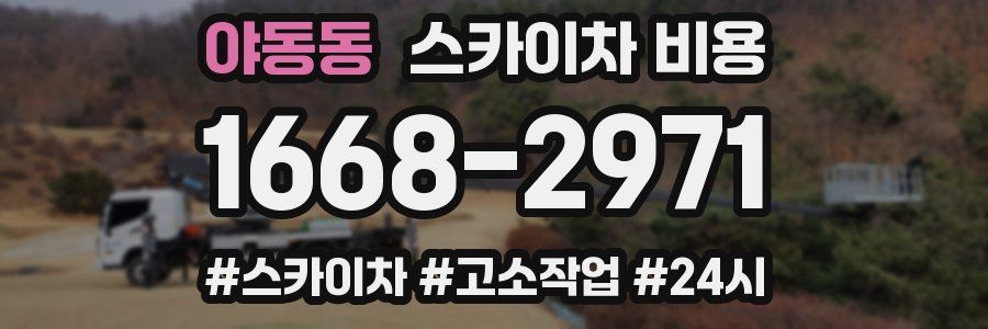 야동동 스카이차 비용