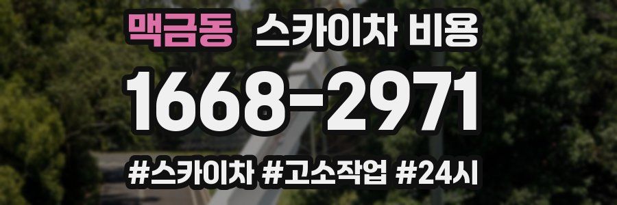 맥금동 스카이차 비용