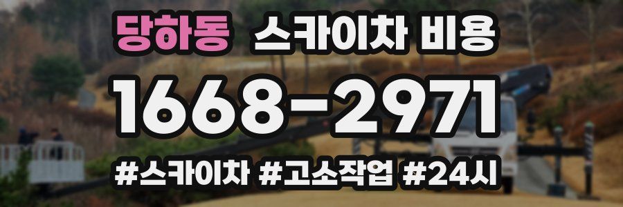 당하동 스카이차 비용