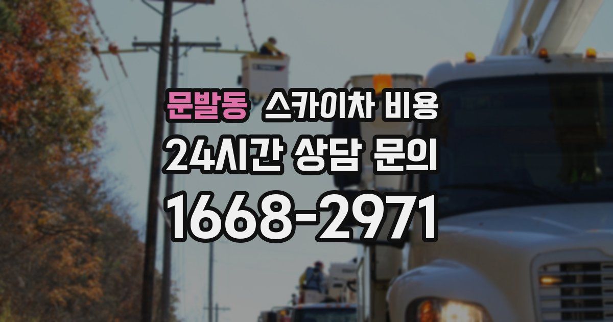 문발동 스카이차 비용