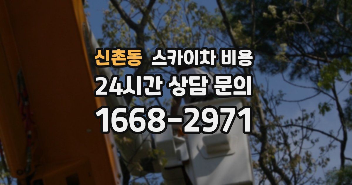신촌동 스카이차 비용