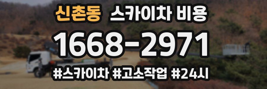 신촌동 스카이차 비용