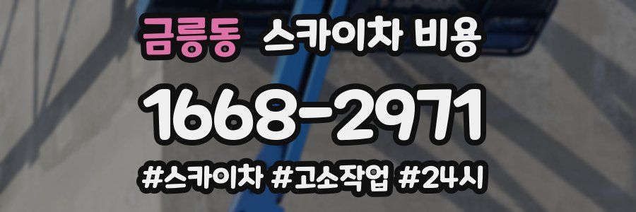 금릉동 스카이차 비용
