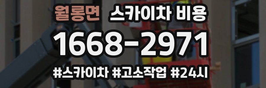 월롱면 스카이차 비용