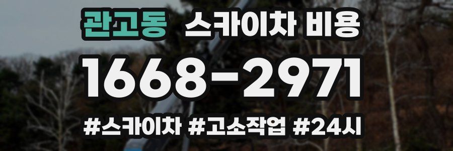 관고동 스카이차 비용